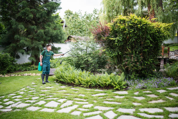 Best Tree Removal  in Somerdale, NJ
